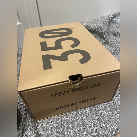 adidas Yeezy Boost 350 V2
Sand Taupe - Picture 6 of 6